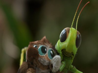 FEFF28: COREA, ANIMAZIONE E IL FUTURO DELLO SCHERMO!
