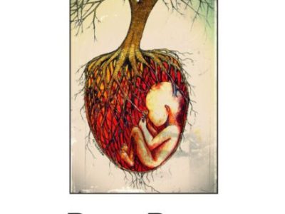 D come Davide. La poesia civile di Davide Rocco Colacrai