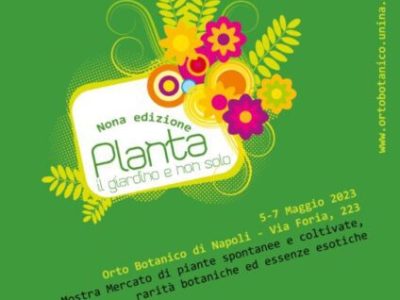 Planta: l’evento dedicato al verde e alla sostenibilità che ha incantato Napoli