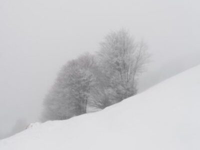 Foto di Simone Cametti