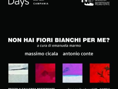 Fiori bianchi