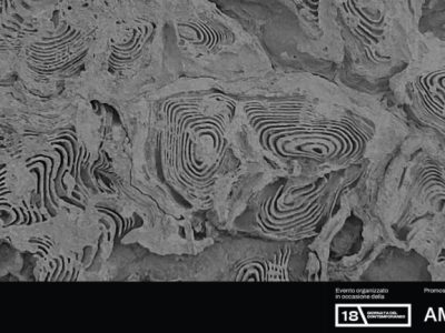Planet A: la mostra collettiva eco-resiliente per la Giornata del Contemporaneo a Napoli