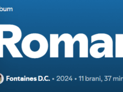 Romance: i nuovi Fontaines D.C.